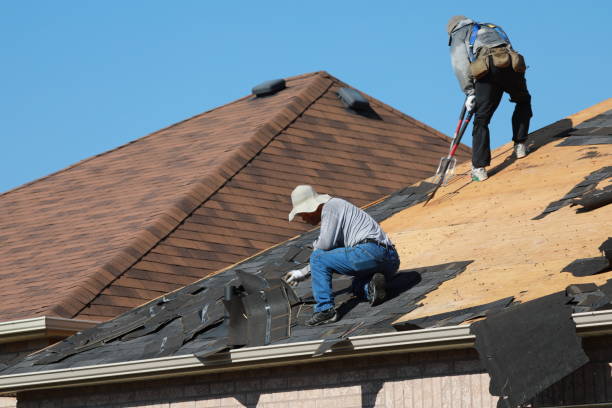 Best Steel Roofing  in Vernon Hls, IL